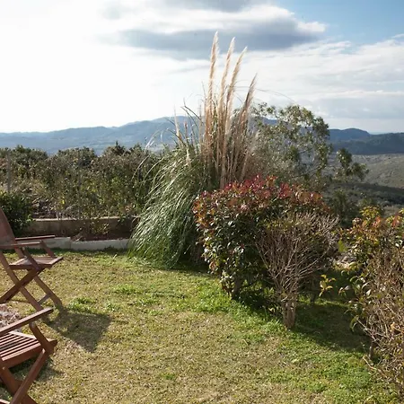 Apartamento Virginia Place *